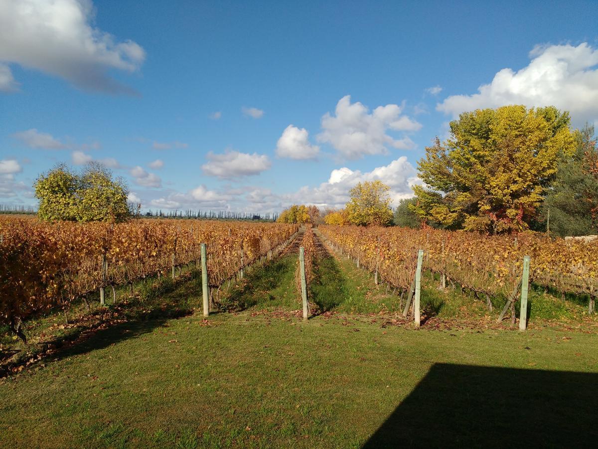 Posada Cavieres Wine Farm Maipu  Exterior photo