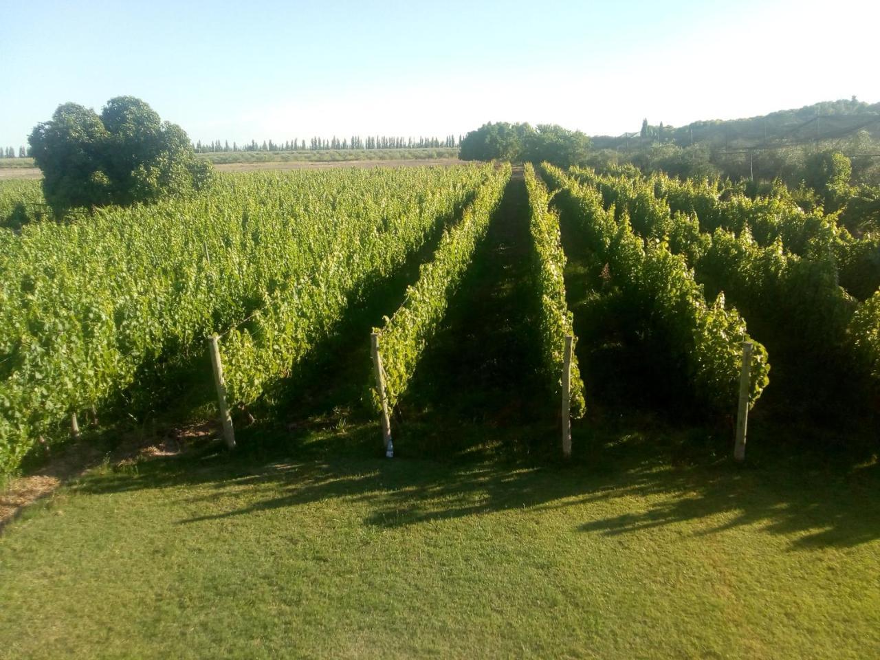 Posada Cavieres Wine Farm Maipu  Exterior photo